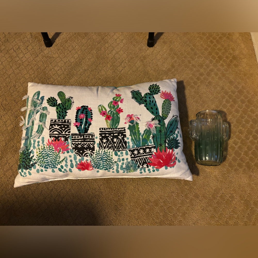Cactus Decorative Pillow AND Cactus Jar